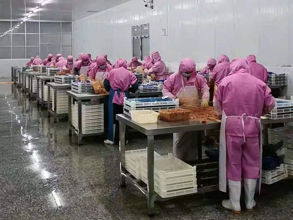 產(chǎn)品實(shí)力